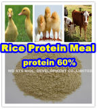 Rice Protein Meal (protein 60% 65% 70%) for Animal