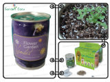 Tin Can Products (903006)