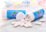 Coolsa 21g Fruit Flavor Bottle Packed Chewing Gum