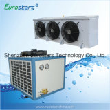 Condenser and Air Evaporator for Cold Room Cold Storage (ESBA-15NJTBY)