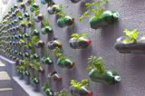 Vertical Garden with Water System