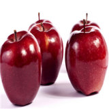 Yantai Huaniu Fresh Apple for Promotion