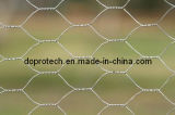 Hexagonal Wire Netting for Chicken Wire (DP-HWN)