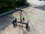 Black Stainless Steel Electrical Golf Trolley