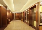 Passenger Elevator for Commercial, Residential Building