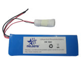 24V LiFePO4 Battery Pack 10ah for E-Scooter, E-Bicycle