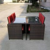 Rattan/Outdoor/Garden Furniture (HR-D21) 