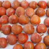 Mouthwatering Individual Quick Frozen (IQF) Lychee (Litchi) for Snack