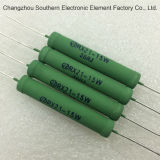 Rx21 Coating Power Variable Resistor with ISO9001