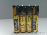 AAA Size Alkaline Battery