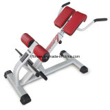 Roman Chair Home Gym Fitness Equipment (LJ-5530)