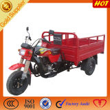 Chinese Motorcycles Cargo Adult Tricycles