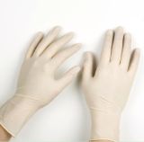 Powdered Latex Examination Glove for Single Use