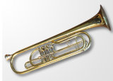 Bb Key Yellow Brass Gold Lacquer Bass Trumpet