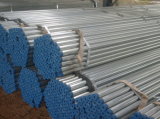 Carbon Steel Galvanized Pipe with Thread