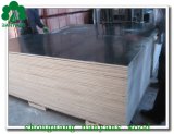 18mm Hardwood Phenolic Plywood From Shandong