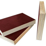 China Cheap Film Faced Plywood for Sale