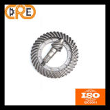 Fast Delivery and Hot Sale Bevel Gear Sets/Spiral Bevel Gear/Worm Gear