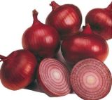 High Quality Onion Extract 1%-5% Quercetin