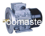 Ms Series 3 Phase Electric Motor With Aluminium Housing