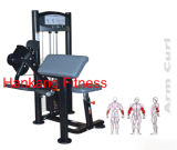 Fitness, Fitness Equipment, Body Building Machine, Arm Curl- PT-803