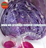 Cabbage Red Natural Colorant