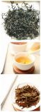 Chinese Speciality 100% Natural Yellow Tea Fresh Sweet Organic Yellow Tea Supper Yellow Tea 8882