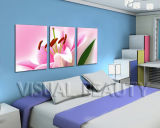 Hot Sale Pink Flower Images Paintings for Living Room Decor