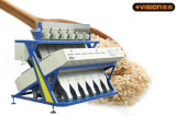 Jasmine Rice, Parboiled Rice Color Sorter Sorting Machinery