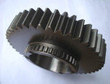 Gear Spur Gear Bevel Gears/Spur Gears/Gear Sets/Spiral Bevel Gear