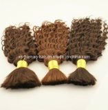 Top Quality Afro Curl Remy Human Hair Bulk