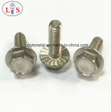 Ss 304 Hex Bolt with Flange/Hexagon Head Bolt with Collar