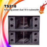 Ts218 Self-Design Amazing Power Professional Speaker, Subwoofer