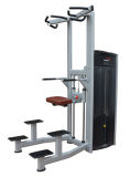 Fitness Equipment/Gym Equipment/Assist DIP Chin (SA10)