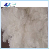 3D Hollow Conjugated Siliconized Polyester Staple Fiber for Filling