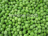 IQF Green Peas