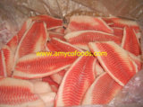 Frozen Tilapia Fillet, High Quality at Good Price From China