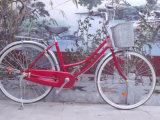 Road Bicycle/City Bicycle 24 Size Bicycle