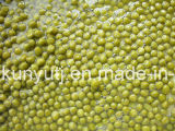Canned Green Pea with High Quality