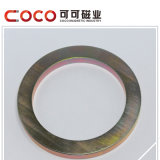 Large Ring Sintered NdFeB/ Magnetic Material for Permanent-Magent Loudspeaker