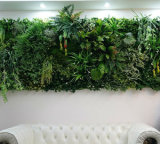 High Quality Artificial Plants and Flowers of Green Wall Gu-Wall00081991000128