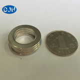 Custom Ring Injection Bonded Magnets 369 for Various Motors (DRM-017)