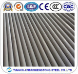Stainless Steel Pipe/Tube 316