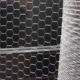 Galvanized Hexagonal Wire Netting (DYWM961028)