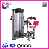 Seated Thigh Extension Machine, Fitness Equipment Parts, Sport Fitness Equipment (LK-9016)