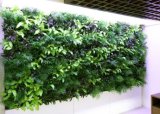 High Quality Artificial Plants and Flowers of Green Wall Gu-Wall1782000595773