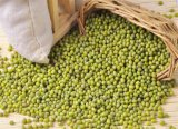 2015 Chinese Green Mung Beans