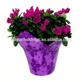 Pretty BOPP Flower/Planter Pot Cover in Various Colour and Sizes
