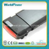 48V Rear Back Lithium Ion Rechargeable Battery 11.6ah, CE, with Charger (WP-RR-361160)