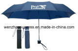 Umbrella (SG12-8U009)